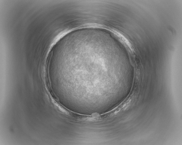 X0000115801381200912041524