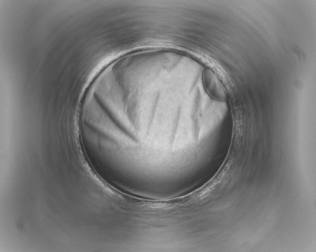 X0000115801382200912041524