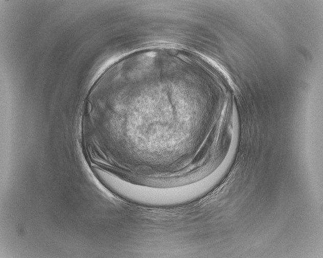 X0000115801383200912041524