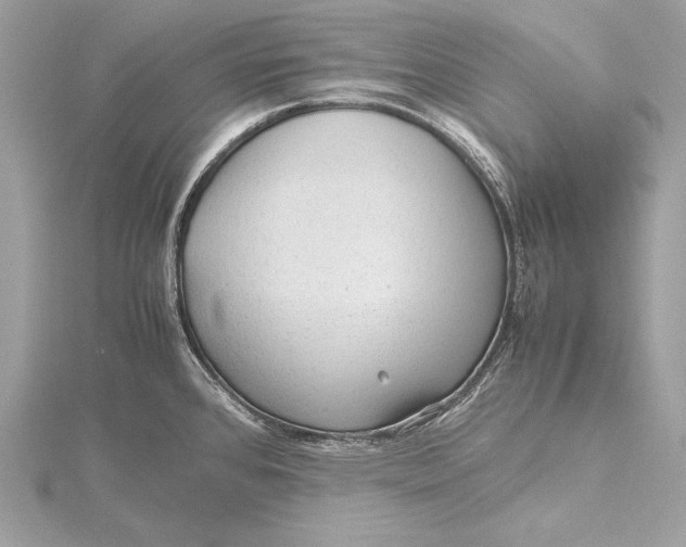 X0000115801384200912041524