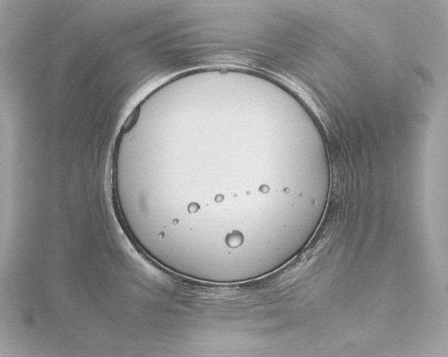 X0000115801387200912041524