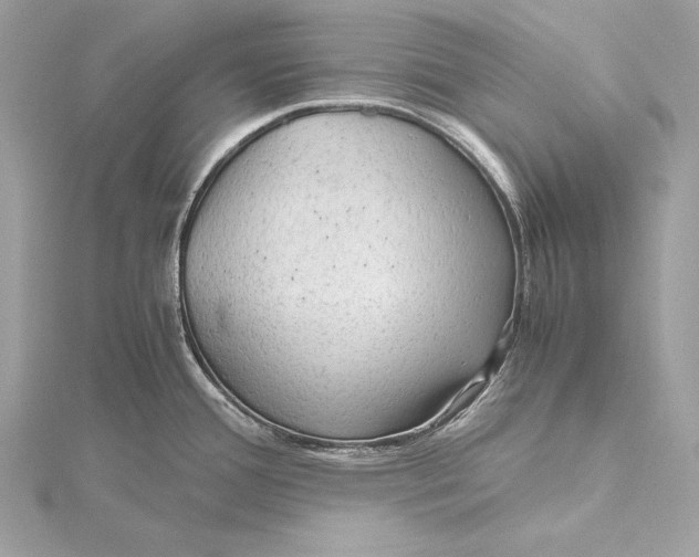 X0000115801388200912041524