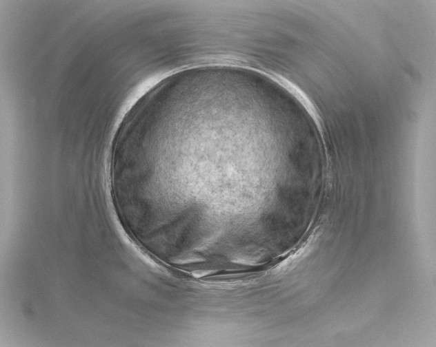 X0000115801389200912041524