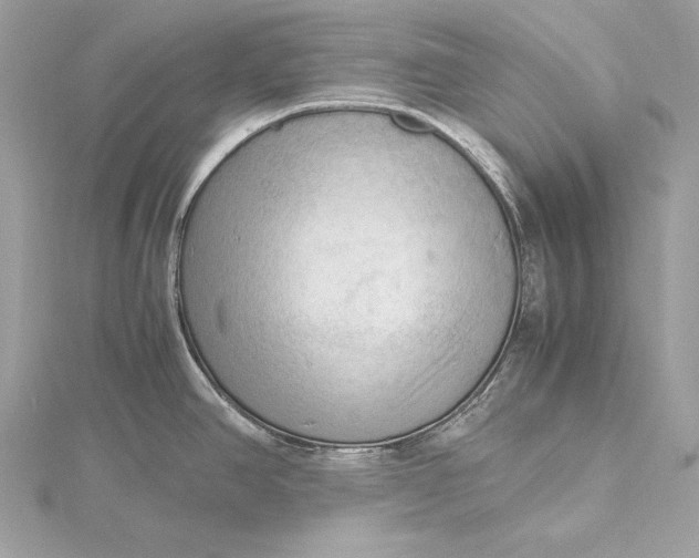 X0000115801390200912041524