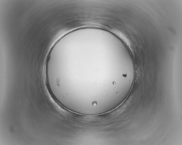 X0000115801391200912041524