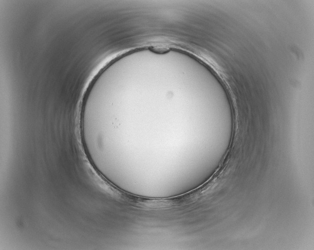 X0000115801392200912041524