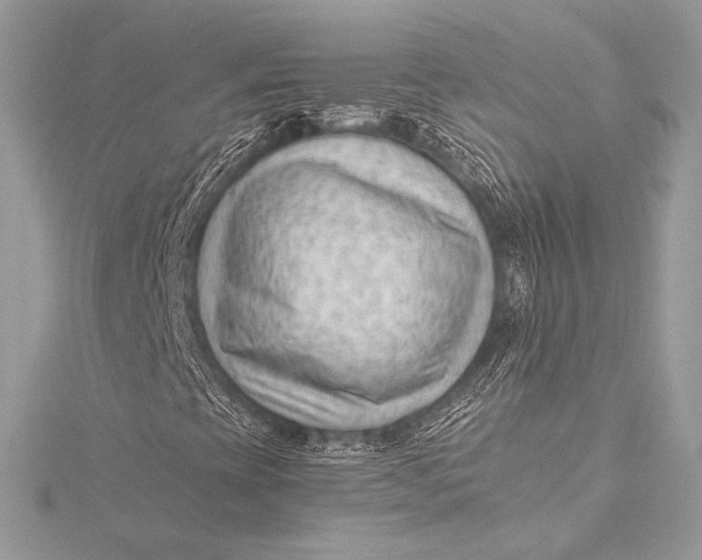 X0000115801393200912041524