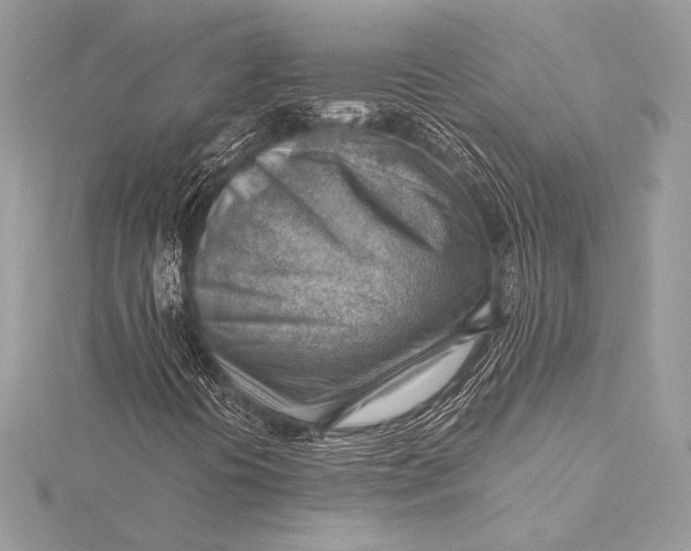 X0000115801394200912041524