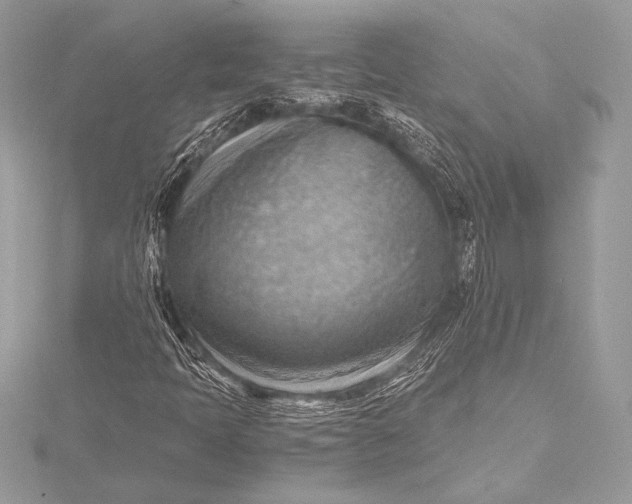 X0000115801397200912041524