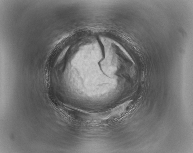 X0000115801398200912041524