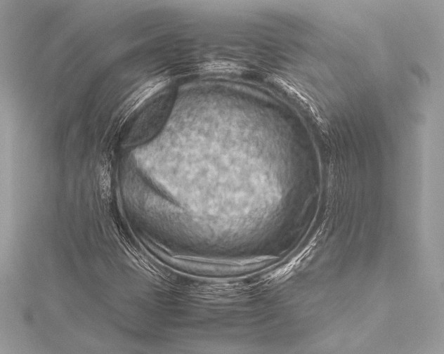 X0000115801401200912041524