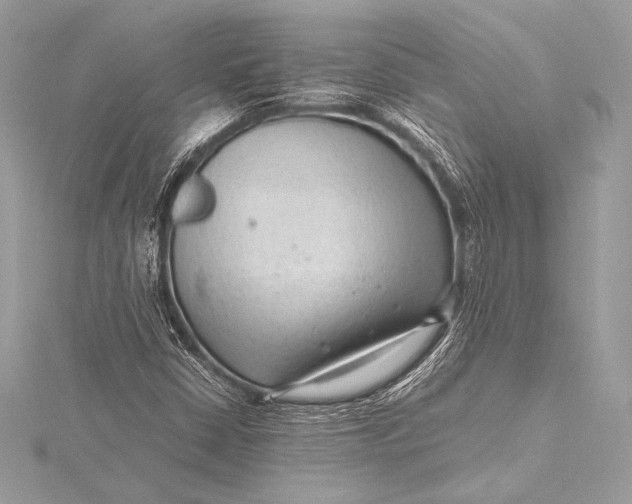 X0000115801402200912041524