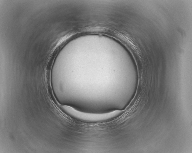 X0000115801404200912041524