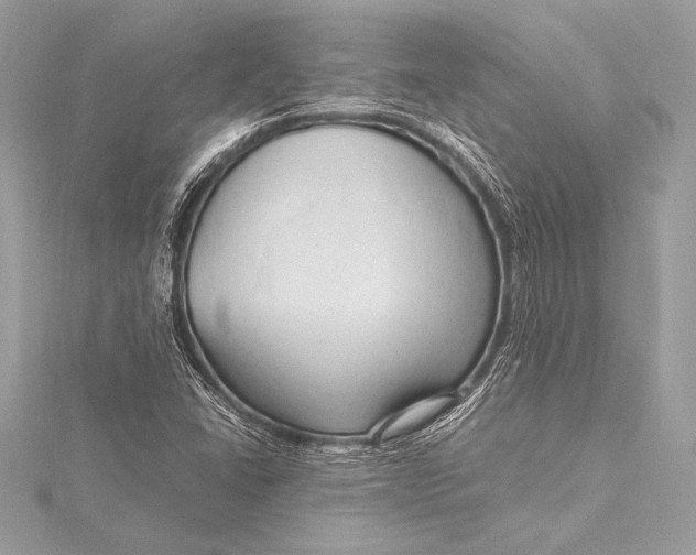 X0000115801406200912041524