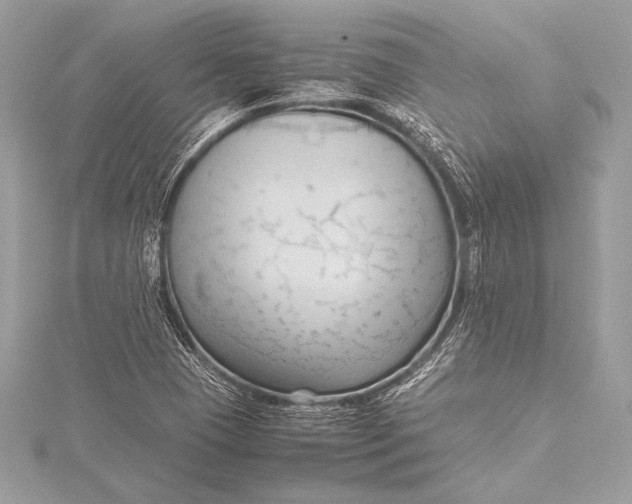 X0000115801409200912041524