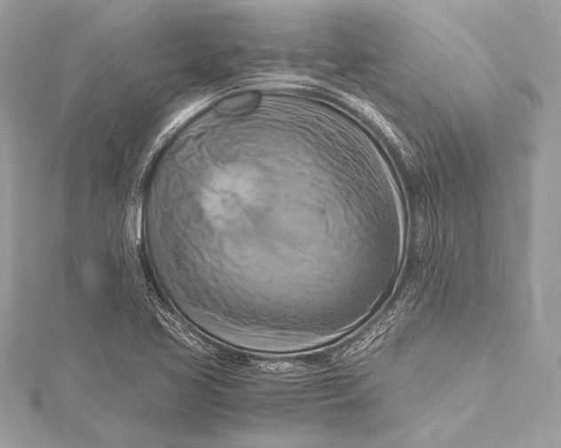 X0000115801413200912041524