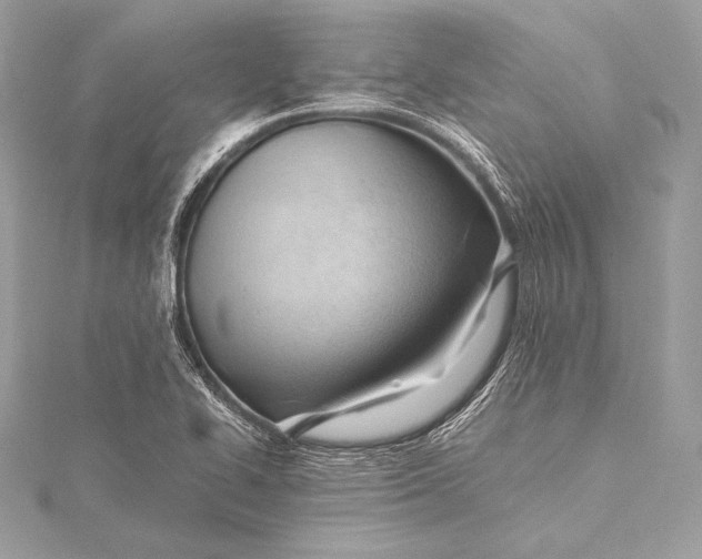 X0000115801414200912041524