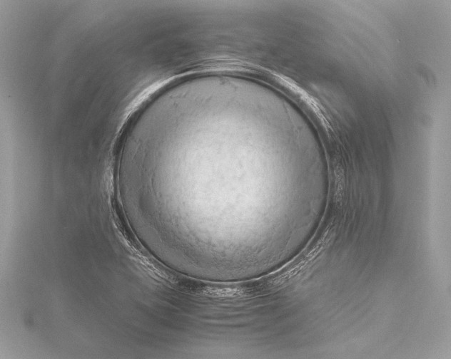 X0000115801415200912041524