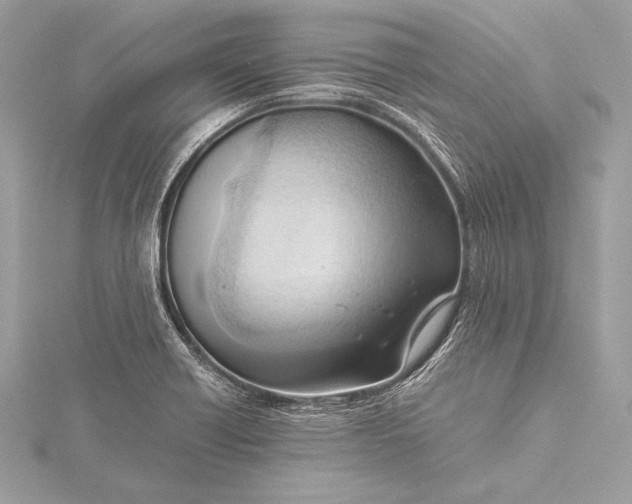 X0000115801418200912041524