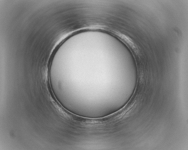 X0000115801420200912041524