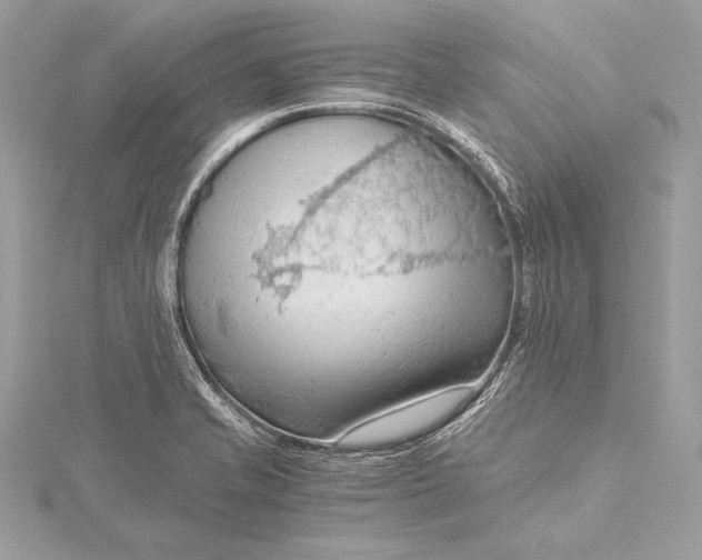 X0000115801421200912041524