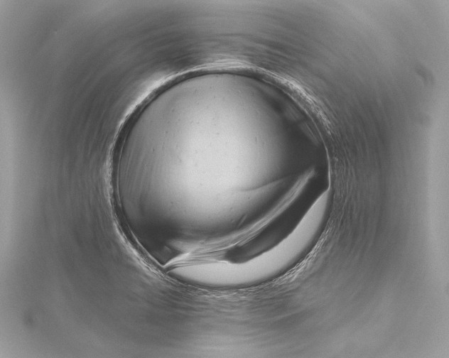 X0000115801422200912041524