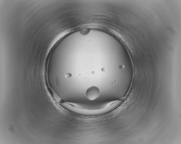 X0000115801426200912041524