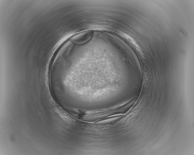 X0000115801427200912041524