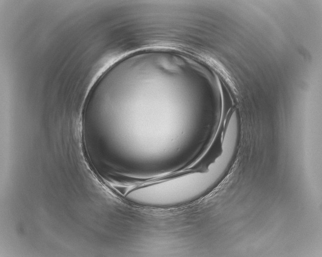 X0000115801428200912041524