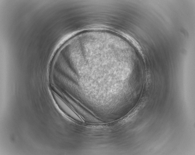 X0000115801429200912041524