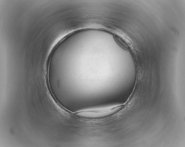 X0000115801430200912041524