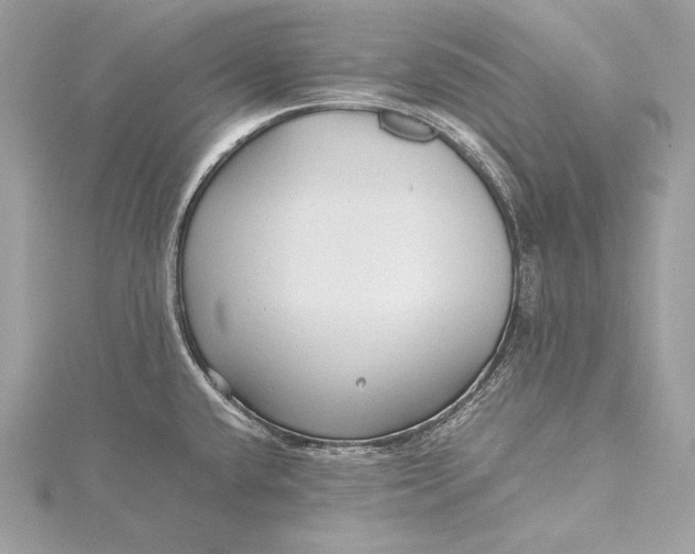 X0000115801432200912041524