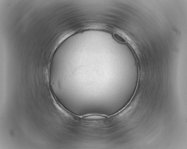 X0000115801433200912041524