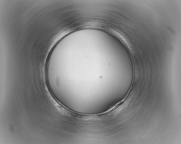 X0000115801434200912041524