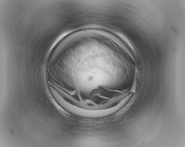 X0000115801438200912041524