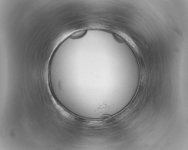 X0000115801439200912041524