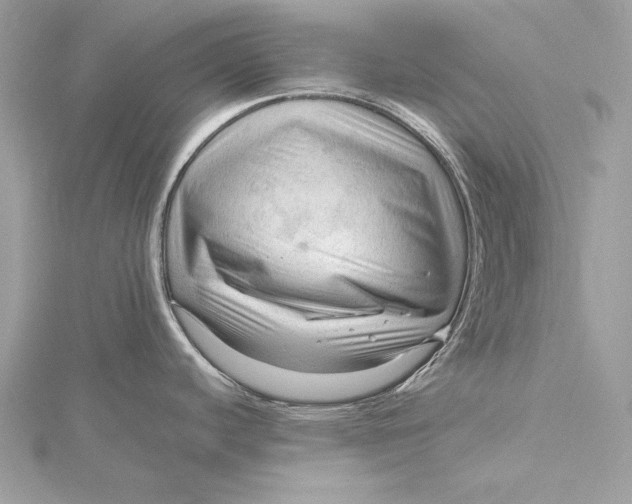 X0000115801440200912041524