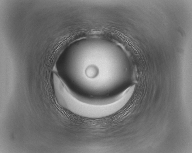 X0000115801441200912041524