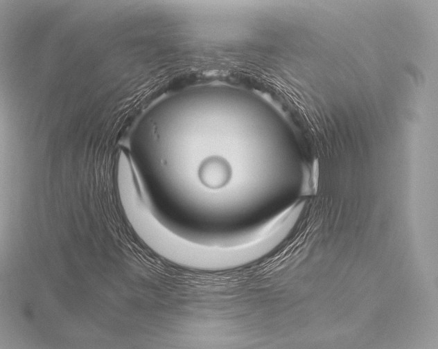 X0000115801443200912041524