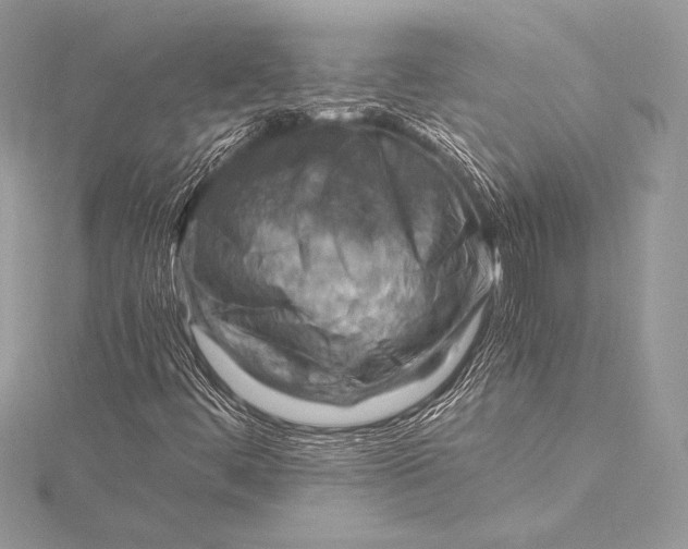 X0000115801444200912041524