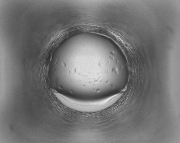 X0000115801447200912041524