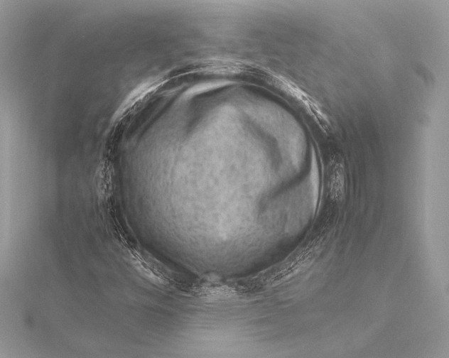 X0000115801448200912041524