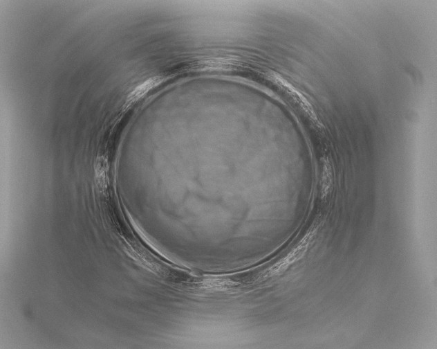 X0000115801449200912041524