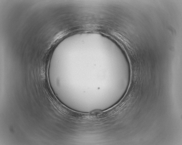 X0000115801451200912041523