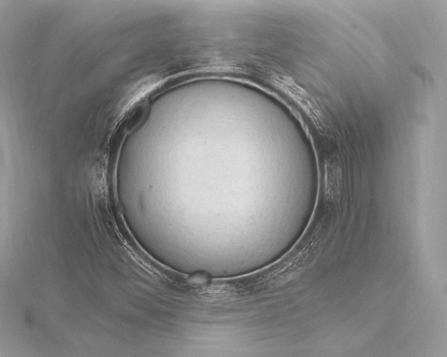 X0000115801452200912041523