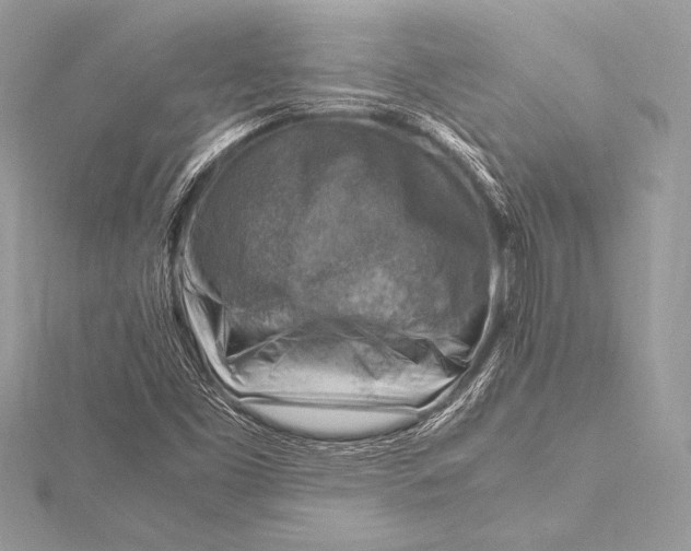 X0000115801453200912041523