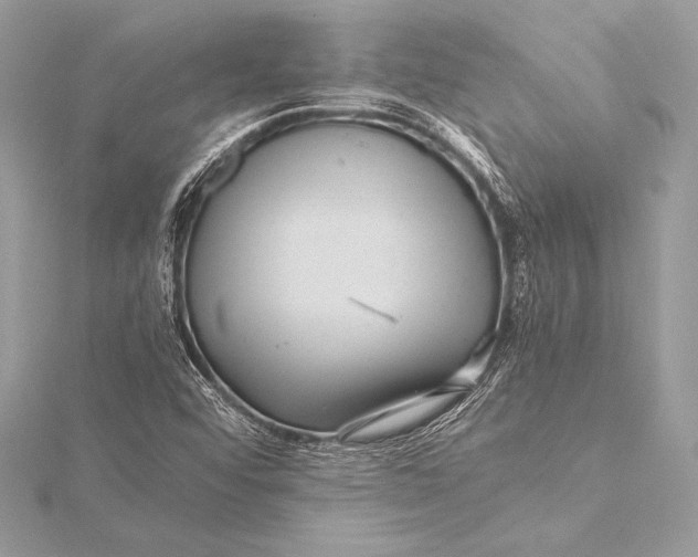 X0000115801456200912041523