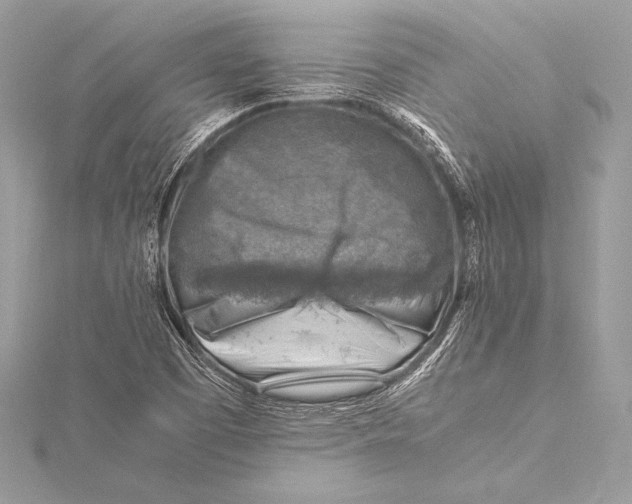 X0000115801457200912041523