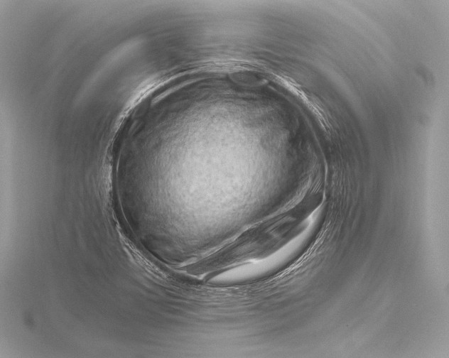 X0000115801459200912041523