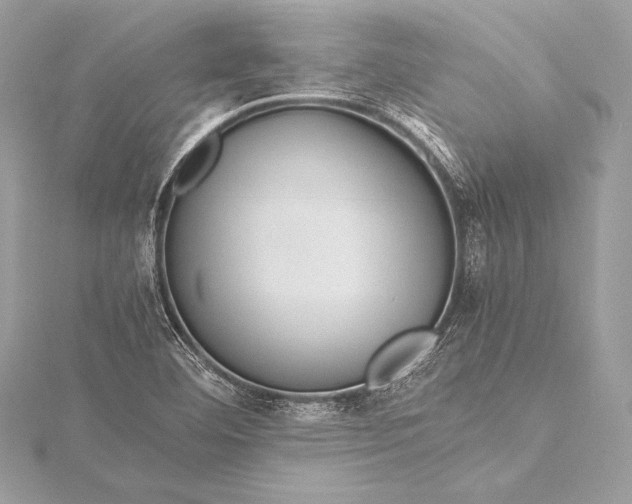 X0000115801460200912041523